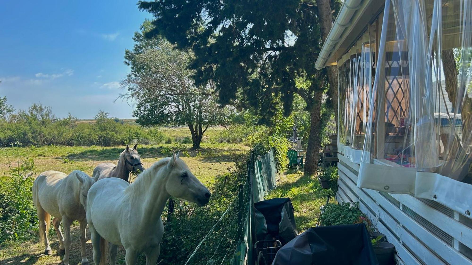 Camping De L'arnel Villeneuve-lès-Maguelonne